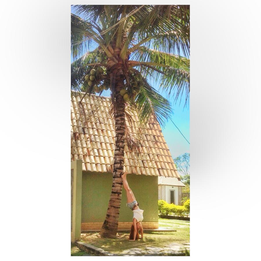 Hotel Pousada Dos Chales カンポス・ドス・ゴイタカゼス エクステリア 写真